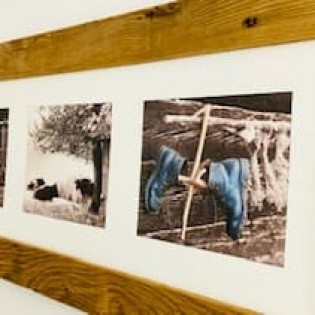 Detailaufnahme Appartement Woodstock in Radstadt