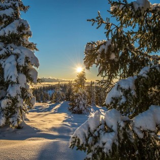 Winterlandschaft am Roßbrand, Winterurlaub in Radstadt © TVB Radstadt_Lorenz Masser